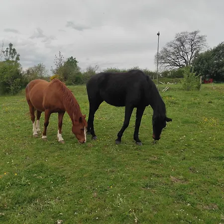Les 2 Chenes Bed and Breakfast Saumur