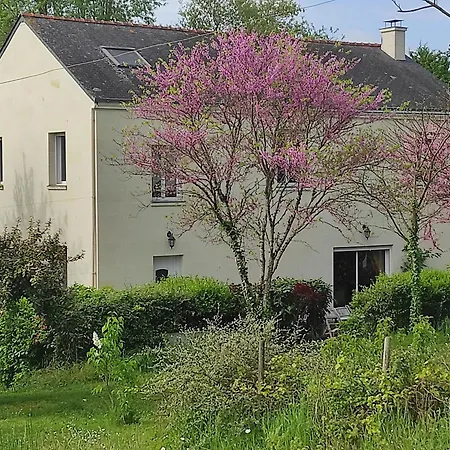 Nocleg ze śniadaniem Les 2 Chenes Saumur