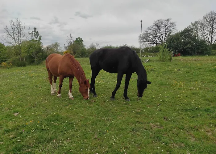 Les 2 Chenes Bed & Breakfast Saumur